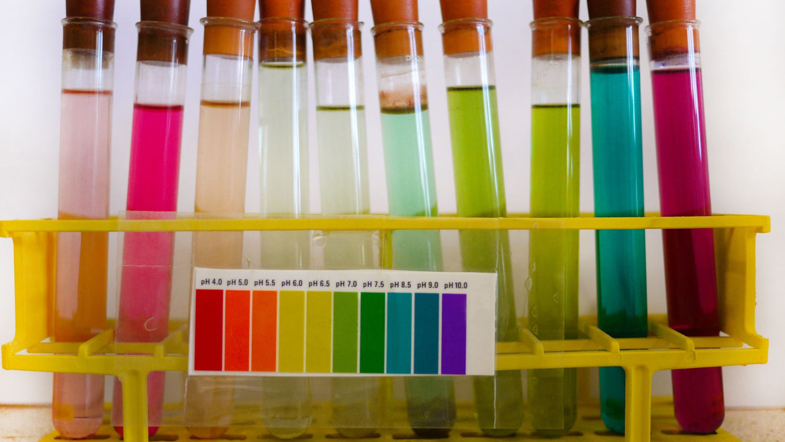 What Not to Wash With: Hidden Detergent Dangers for Silk and Wool