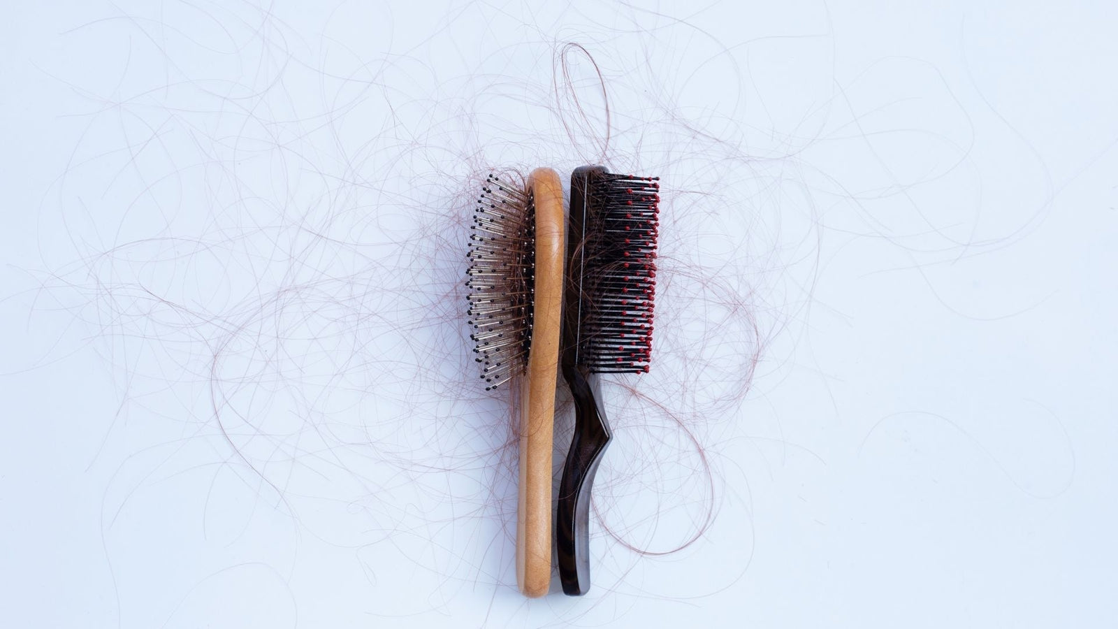 two hair brushes laying on a white table with damaged looking hair in them