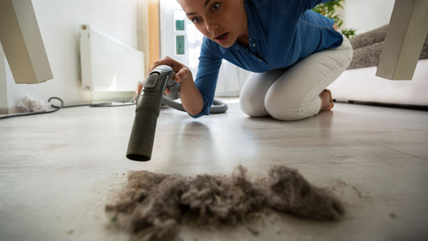 The Hidden Dangers of Household Dust and How Silk Bedding Can Help ...