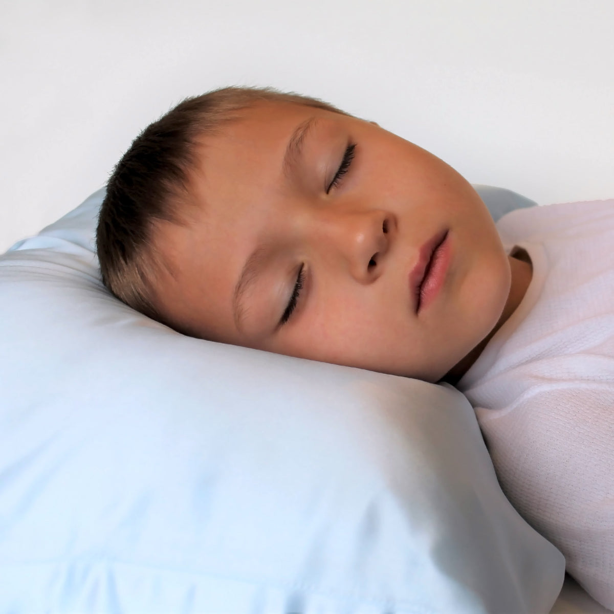  Mulberry Park Silks Pure Silk Toddler Pillowcase Blue Sleeping Boy- 2