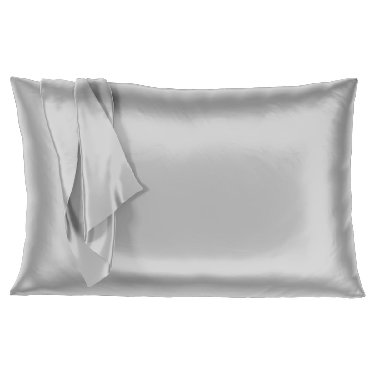 Mulberry Park Silks OUTLET 22 Momme Silk Pillowcase Silver